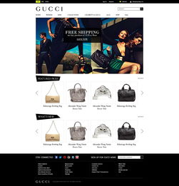 歐美外貿(mào)在線(xiàn)電子商務(wù)網(wǎng)站設(shè)計(jì)