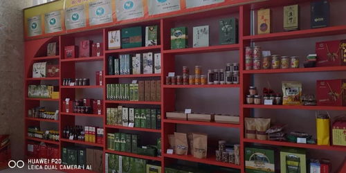 2018年武都區(qū)電子商務(wù)亮點(diǎn)工作 大力推進(jìn)貧困地區(qū)農(nóng)產(chǎn)品上行