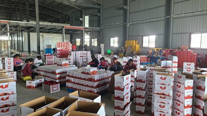 農產品與電商深度融合 賦能鄉(xiāng)村振興——陜能院學子調研云陽站電商扶貧基地